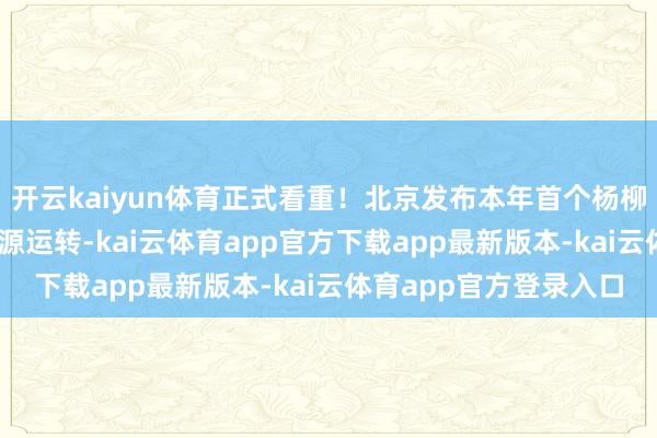 开云kaiyun体育正式看重！北京发布本年首个杨柳飞絮预告 中心城区来源运转-kai云体育app官方下载app最新版本-kai云体育app官方登录入口