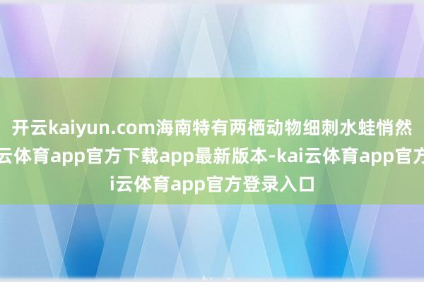 开云kaiyun.com海南特有两栖动物细刺水蛙悄然现身-kai云体育app官方下载app最新版本-kai云体育app官方登录入口