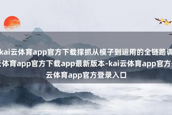 kai云体育app官方下载撑抓从模子到运用的全链路调优-kai云体育app官方下载app最新版本-kai云体育app官方登录入口
